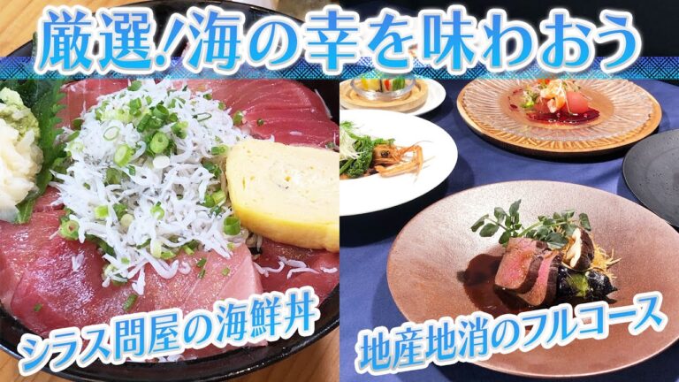 【静岡グルメ】シラス問屋の海鮮丼＆地産地消のフルコース【とびっきり食堂】