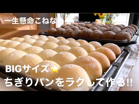 天板いっぱい大きなちぎりパン‼️2色作って大満足~翌日もずっと柔らかい。Big soft milk pan