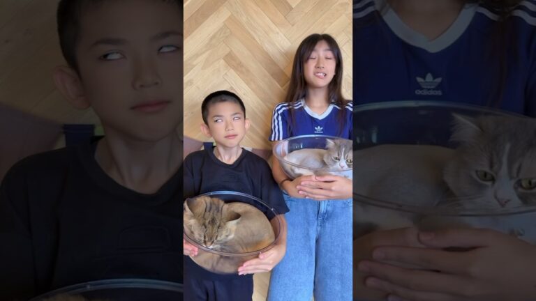 ダンダカダンダカダンダカダン♪ #かんあきチャンネル