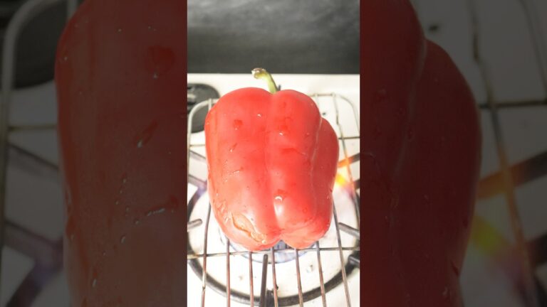 パプリカの一番めんどくさい食べ方 #shorts #paprika #令和ロマン 様