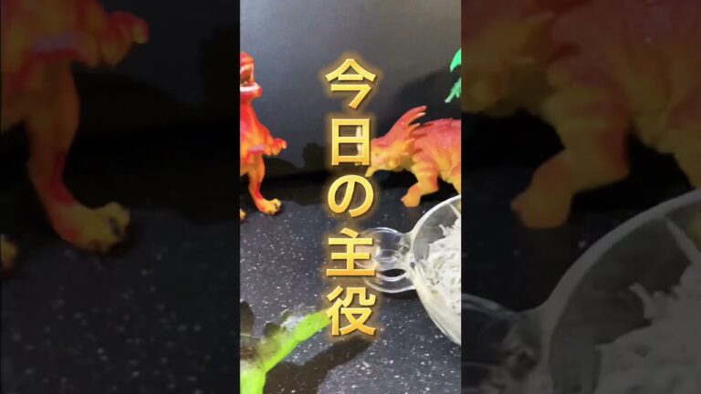 今夜の晩御飯　和風ちりめんじゃこパスタ