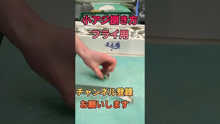 小アジ捌き方！フライ用#short #shorts #new #fish #japan #howto #おすすめ #簡単 #料理 #釣り #趣味 #楽しい #チャレンジ #ミッション