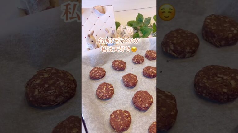 グルテンフリー米粉とオートミールのチョコクッキー