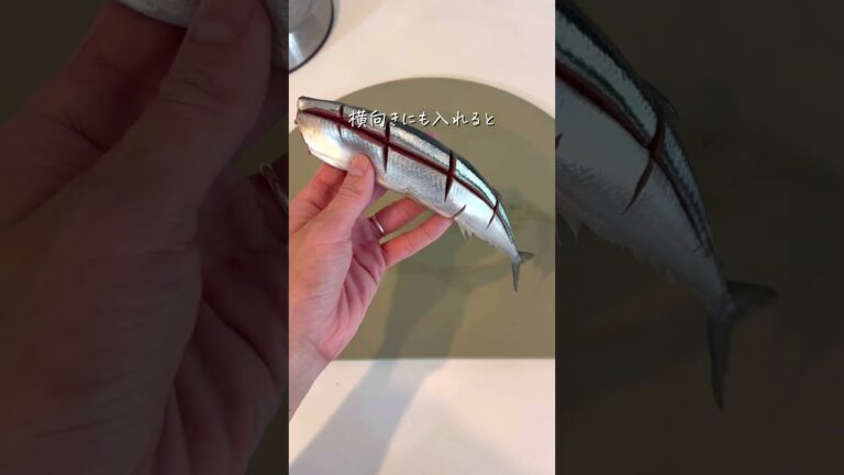 夕飯はさんまに決まりっ🐟 #さんま #秋 #さんまの塩焼き #裏ワザ #ライフハック #暮らしのアイデア