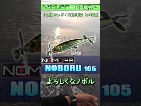 サメが背びれ出して向かってきた・・ #shorts