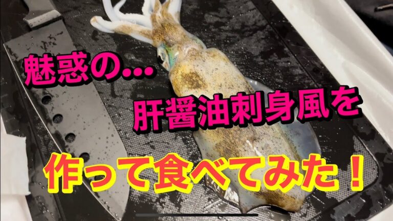 アオリイカのキモ醤油刺を作って食べてみた！【料理】