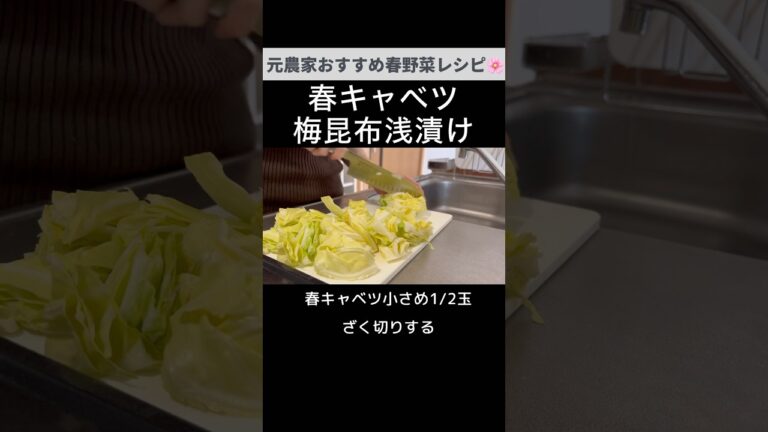 ぜひ作ってほしい😋春キャベツ梅昆布茶浅漬け