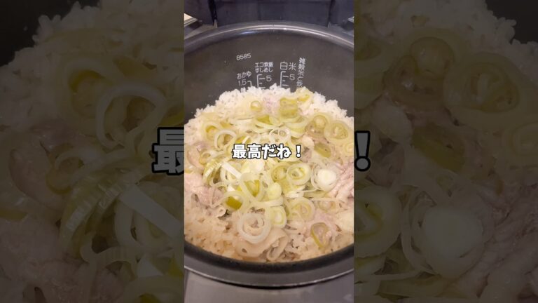 【簡単レシピ】中華風ネギ塩豚丼！！#炊飯器レシピ