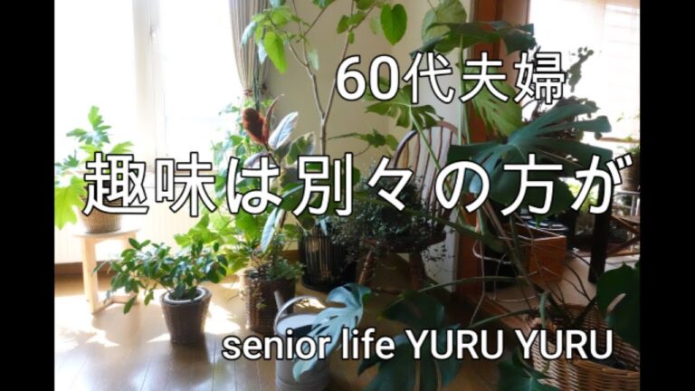 【シニアライフ】夫婦の趣味は違う方がいい？　うずら卵のフライ、肉豆腐、
