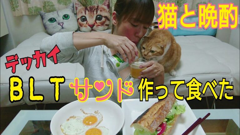 【咀嚼音】猫と晩酌🎵デッカイBLTサンドイッチ作って食べました🎵ビール&レサワを飲む🎵女ボッチ飯   먹방 Eating show