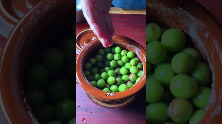 小梅のカリカリ漬けを仕込む理由 #shorts