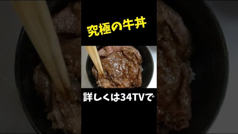 これは牛丼？すき焼き丼？