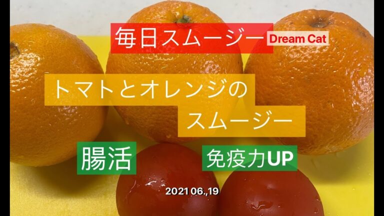 スムージー スペシャリストDream Catのスムージー 2021 06.19