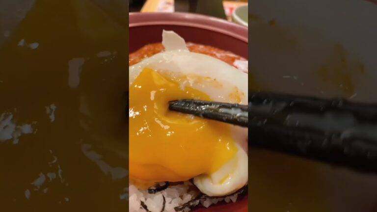 すき家1169日目「まぐろユッケ丼　並　おんたま変更　サラダセット」 #shorts