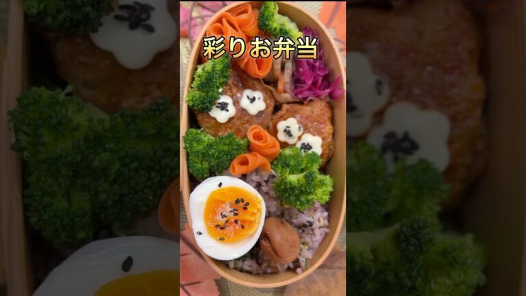 ミニハンバーグ入り彩りお弁当#お弁当