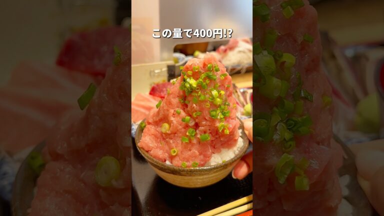《たった400円の巨大ネギトロ丼》