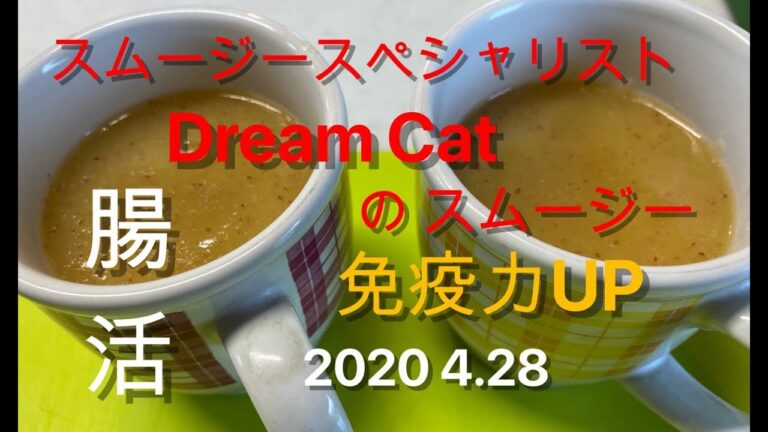 スムージースペシャリストDreamCatのホットスムージー2020 4.28