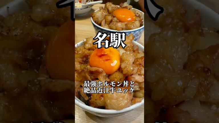 名古屋来たら絶対に行きたい焼肉屋　すだく名古屋国際センター店　#名古屋グルメ #焼肉 #japanesefood #shorts