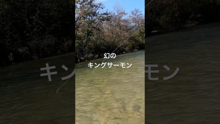 【キングサーモン 幻か?】King Salmon Swim Away?【ニジマスにしては でかすぎる】#渓流釣り #フライフィッシング #スチールヘッド