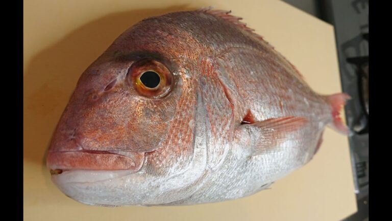 鯛しゃぶ作ってみた【嫁リクエスト】