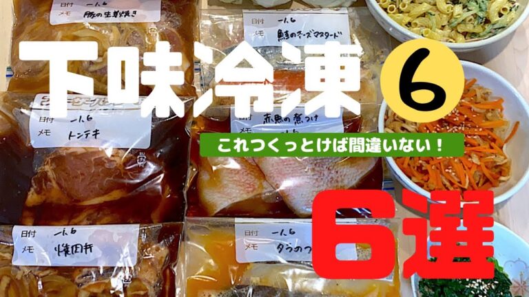 【下味冷凍⑥】️急遽1週間家を空けるので旦那のためにパパッと❤️‍🔥トンテキ/生姜焼き/焼肉丼/鮭/赤魚/鱈/時短/レシピ付き
