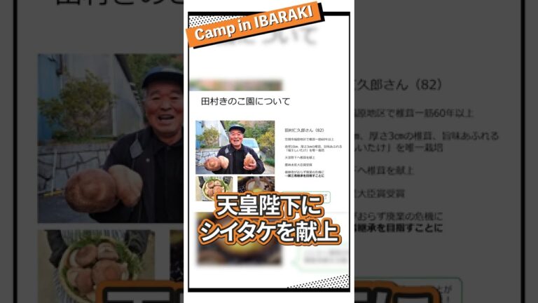茨城　笠間　きのこ園　しいたけ仙人　アグリビジネス　合宿　視察　#Shorts
