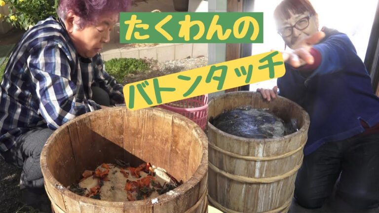 山の師匠ばあちゃんに教えてもらって沢庵を漬けた｜うまくできるようになったら、次のあなたへ私からバトンタッチしますからよろしくね