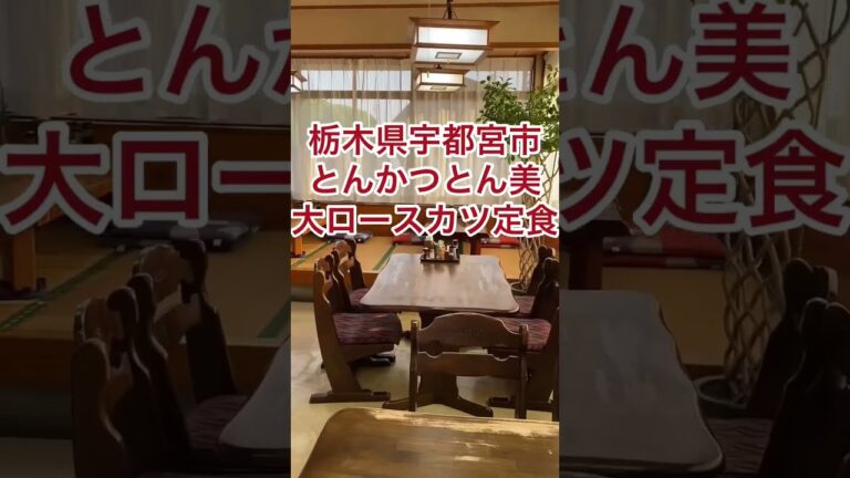 【栃木グルメ】箸で切れる柔らか絶品とんかつ！【栃木県宇都宮市】とんかつ とん美