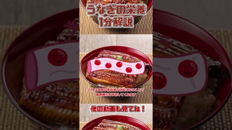 【ゆっくり解説】うなぎの栄養を1分で解説 #shorts