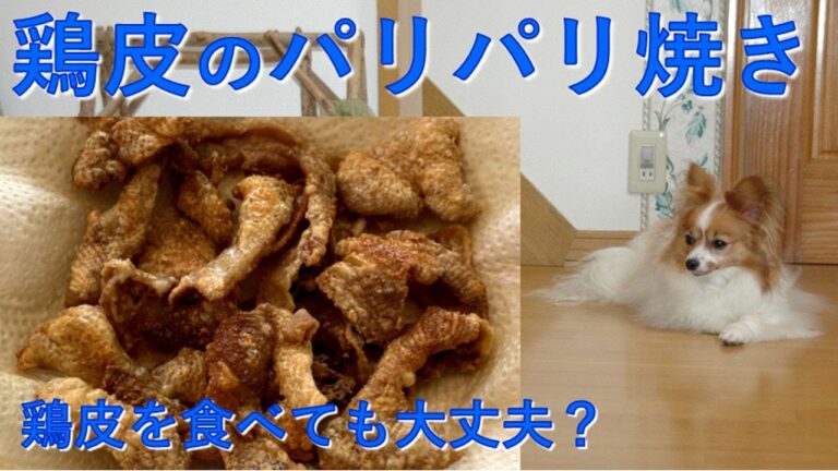 【犬の手作りごはん】  鶏皮のパリパリ焼き（おやつ）