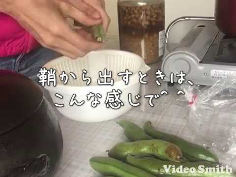 そら豆を鞘から出すコツ