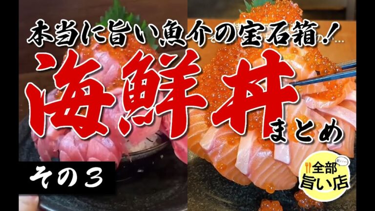 【全部旨い店】魚介の宝石箱！うまい海鮮丼特集 part03  A bowl of rice with sashimi on top.