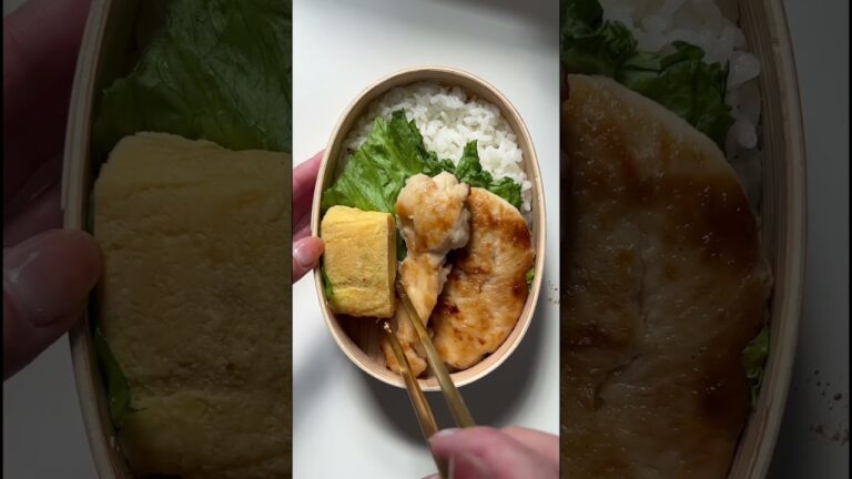 【お弁当の詰め方】ささみ醤油マヨ弁当　#時短レシピ #節約レシピ #おべんとう