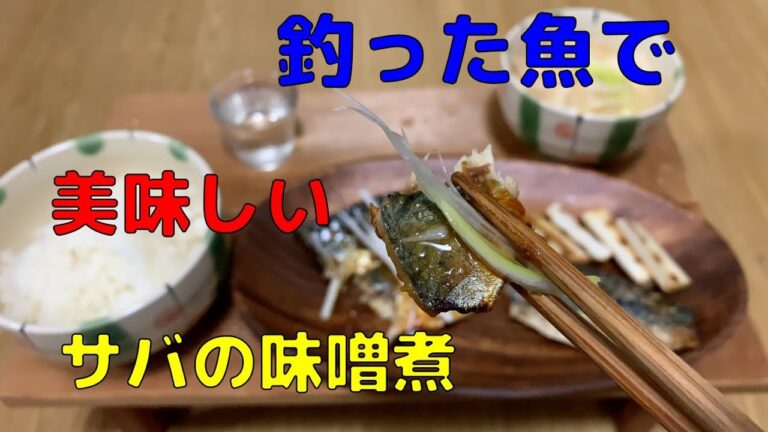釣った魚で美味しいサバの味噌煮を作ったよ！