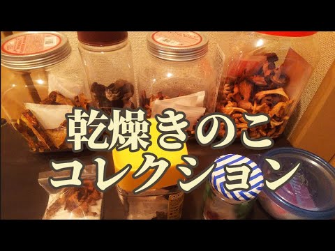 乾燥きのこの紹介