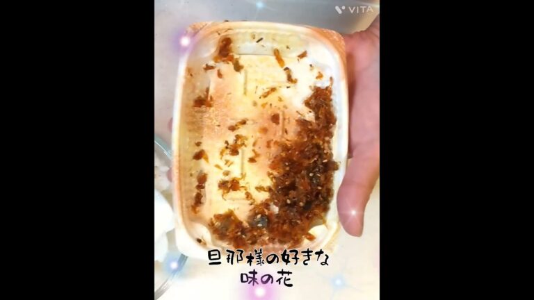 #節約 #母ちゃん #旦那様 和風弁当