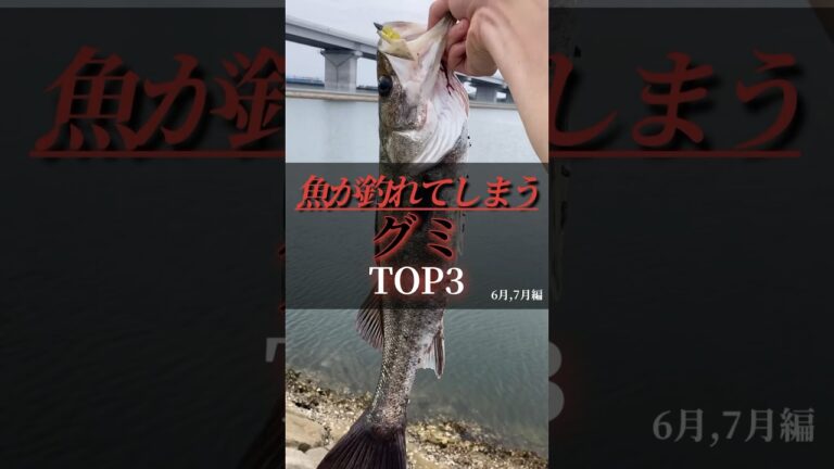 魚が釣れてしまうグミTOP3【6月〜7月編】