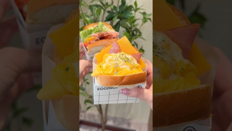 【表参道】EGGDROP🍳韓国で人気のエッグサンド専門店✨#東京カフェ #東京グルメ