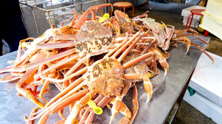 カニの季節がやってきた！蟹丼・海鮮丼を求めて１日２００人が殺到する海岸食堂丨北陸グルメ４選