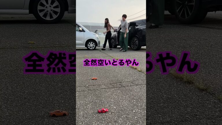 駐車場がミニカーで満車になっていた時の反応ww【妹にドッキリ】