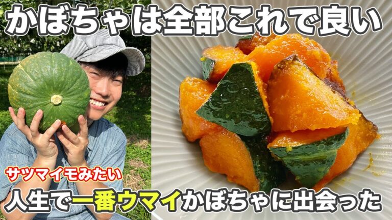 【かぼちゃ大量消費】人生で一番甘い！農家直送かぼちゃで作る、おかず＆スイーツレシピ3選。