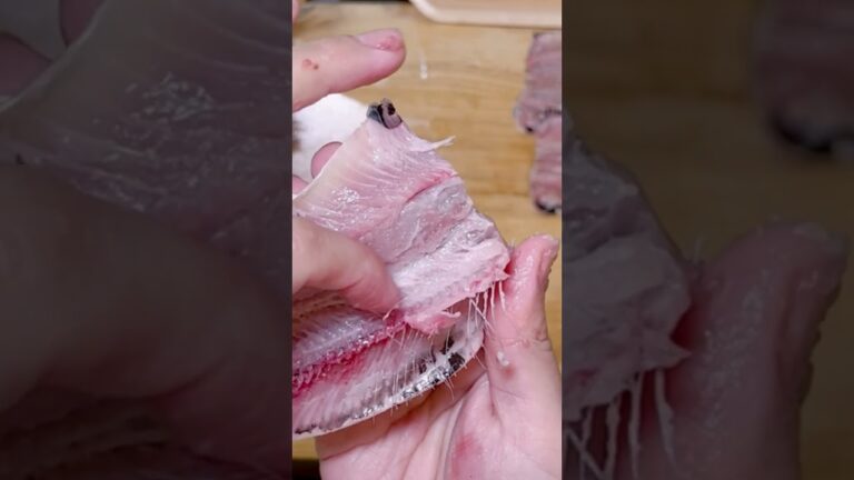 【1分でわかる】イワシは手で捌く