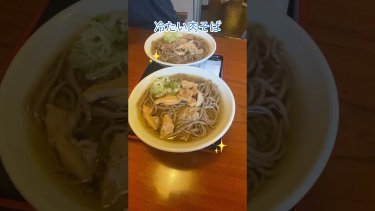 山形　河北町　一寸亭本店の冷たい肉そば