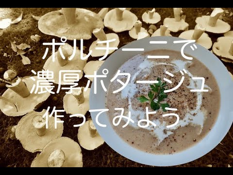 ポルチーニで濃厚ポタージュスープを作ってみよう／飴色玉ねぎの早ワザ（おまけ）
