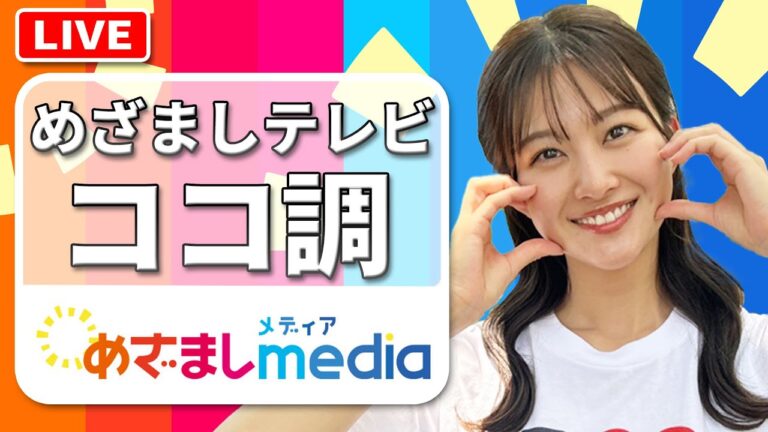 「令和のぬい活」ぬいぐるみがお仕事体験&専用ベッド提供の大手ホテルまで！？ほか「世界で最もクールな街」に選ばれた神保町の魅力を高崎春アナが調査！など【めざましテレビのココ調まとめ】原田葵・上垣皓太朗