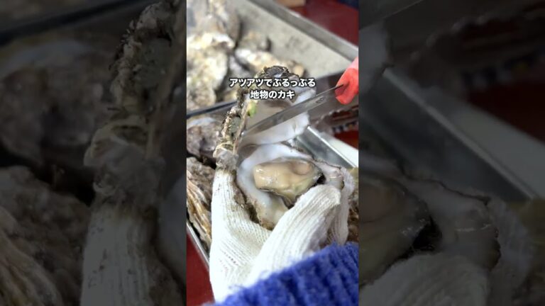 2,300円で鬼盛り牡蠣が食べ放題、ヤバかった… #shorts