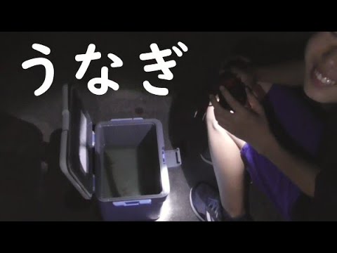 うなぎ釣り