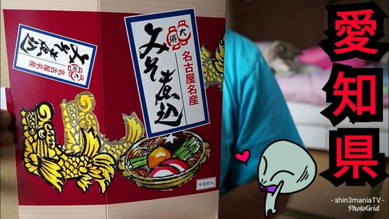 名古屋名物 大須ういろ 味噌煮込みうどん