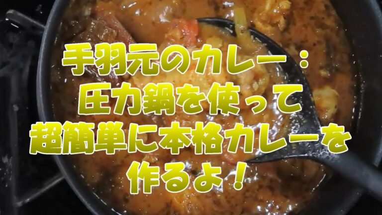 手羽元のカレー：圧力鍋を使って超簡単に本格カレーを作ります