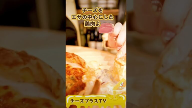 チーズ鶏の丸焼き…？チーズビストロチーズプラスhttps://bistro-cheeseplus-kyobasi.foodre.jp/ #チーズ #大阪グルメ #雑学 #チーズ料理 #チーズ専門店